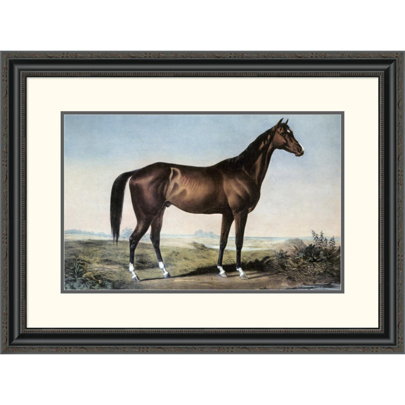 Global Gallery 'Celebrated Horse "Lexington"' by Currier and Ives Framed Painting Print Wayfair